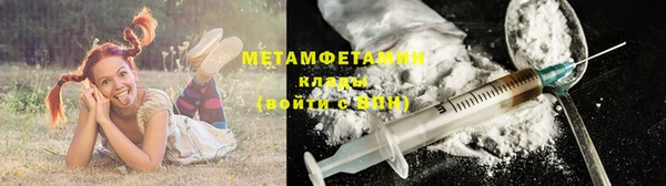 прущие грибы Вяземский