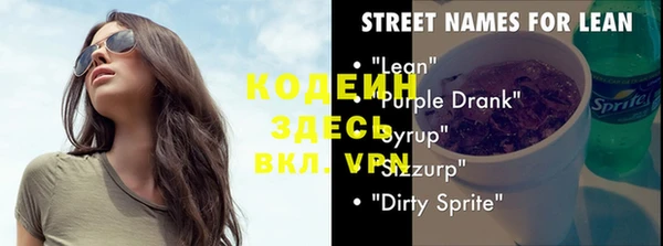 прущие грибы Вяземский