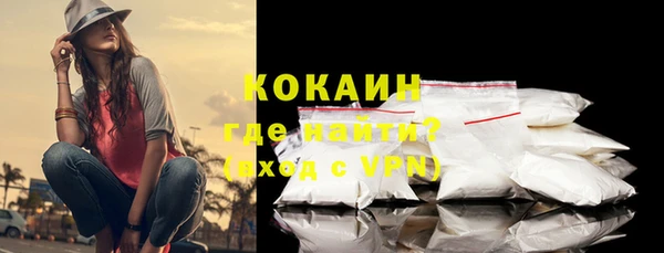 прущие грибы Вяземский