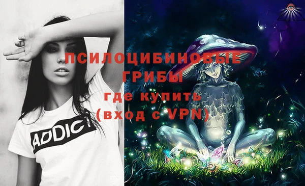 амф Вязники