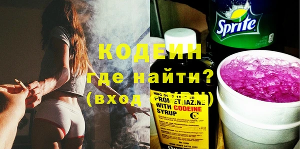 прущие грибы Вяземский
