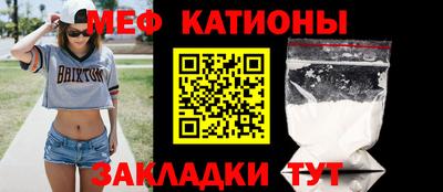 прущие грибы Гатчина