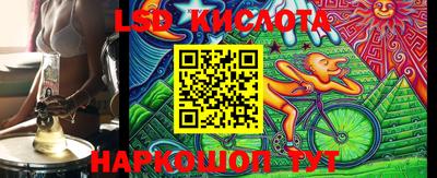 прущие грибы Гатчина