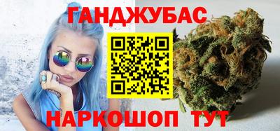 прущие грибы Гатчина