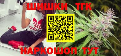 прущие грибы Гатчина