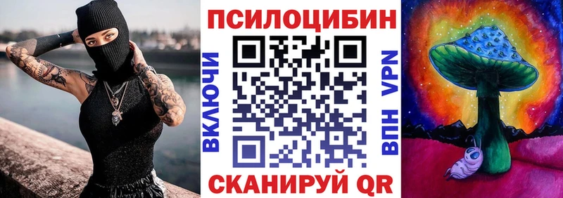 Псилоцибиновые грибы Psilocybe  где купить наркотик  Дмитров 