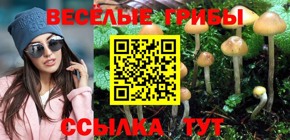 Галлюциногенные грибы MAGIC MUSHROOMS  Галлюциногенные грибы Psilocybe  Дмитров 