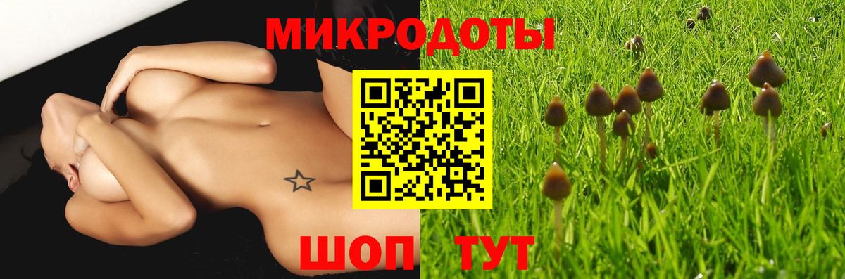Галлюциногенные грибы Psilocybe  Галлюциногенные грибы MAGIC MUSHROOMS  Дмитров  Вход с VPN 